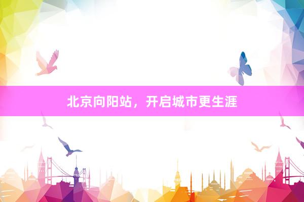 北京向阳站，开启城市更生涯