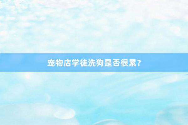 宠物店学徒洗狗是否很累？